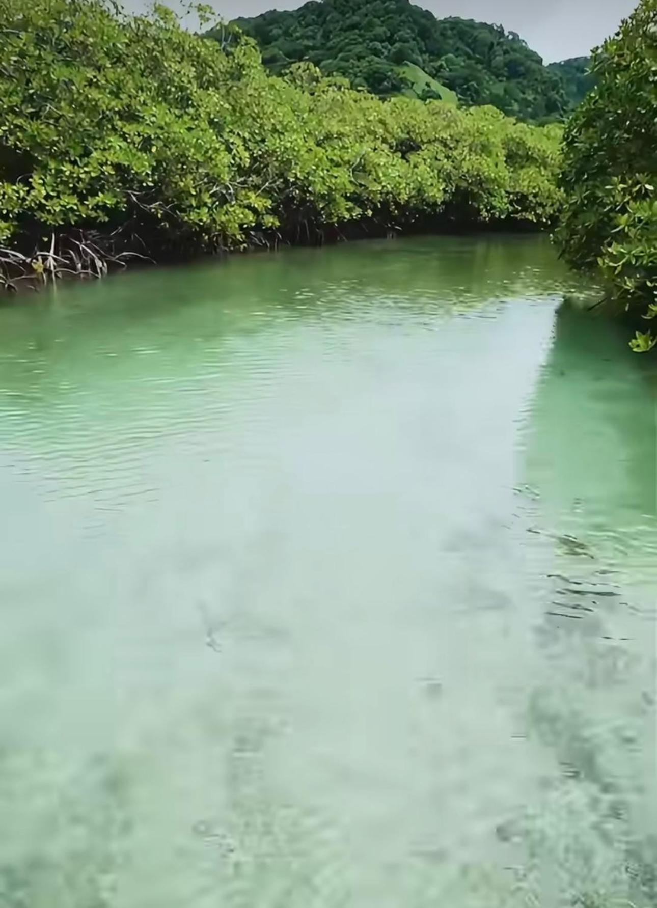 Ranchos De Chalia Panama Otel Portobelo Dış mekan fotoğraf