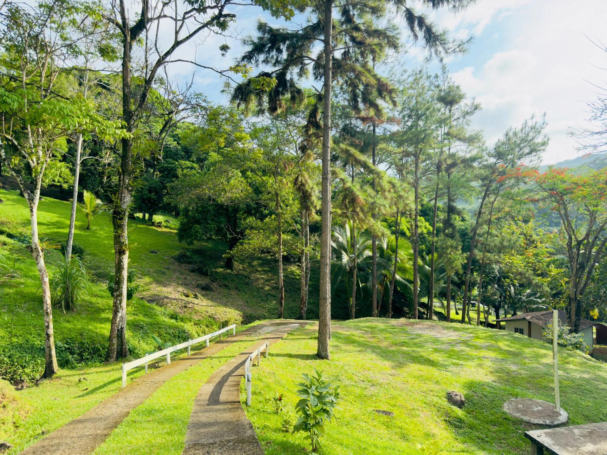 Ranchos De Chalia Panama Otel Portobelo Dış mekan fotoğraf